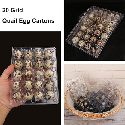 150 Pack Quail Egg Cartons, Holds up to 20 Quail Eggs Securely - Image 4