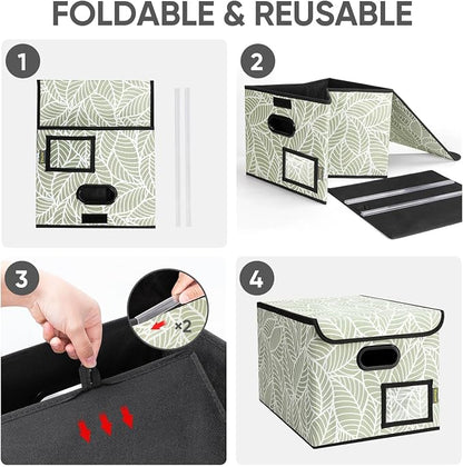 BALEINE File Organizer Box - Image 9