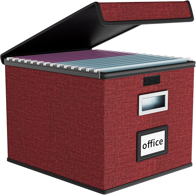 File Organizer Box with Lids, Collapsible File Folder Organizer | File Box with by Huolewa