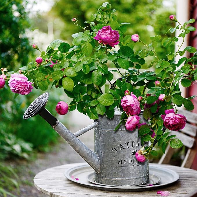 Garutom Galvanized Watering Can - Image 3