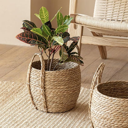 Woven Planter Basket, Natural Handwoven - Image 4