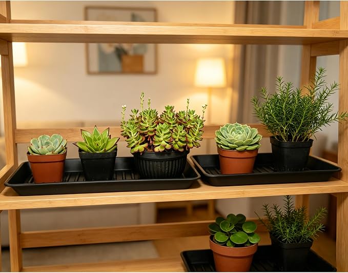 Plant Saucer Tray 6.5 x 13 Inch, Heavy Sturdy Long Narrow Plastic Plant - Image 4