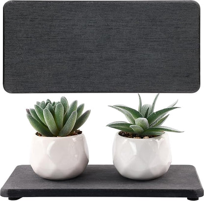 2 Pcs Water Absorbing Stone Trays, Kitchen/Bathroom Sink Soap Dish, Diatomite by NiuYichee