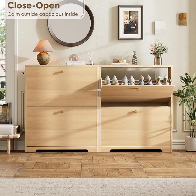 Nicetree Shoe Storage Cabinet - Image 3