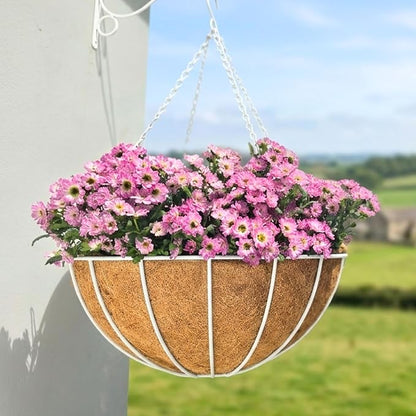 LaLaGreen Hanging Planter For Outdoor Extra Large White Metal Wire Hanging by L%C3%A1L%C3%A1Green