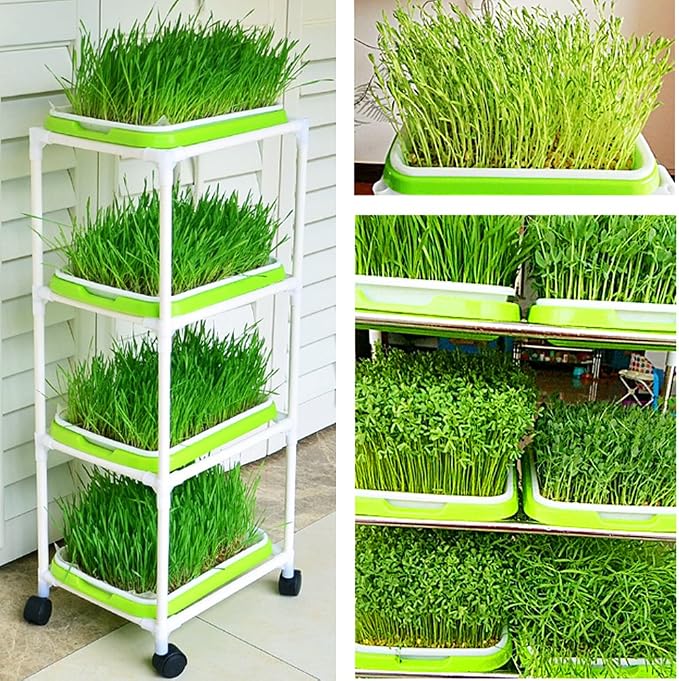 4 Layers Sprout Trays with Extra Strength Plastic Shelf Soil-Free Healthy - Image 5