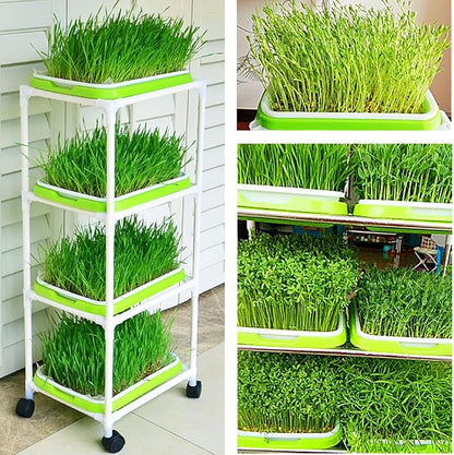 4 Layers Sprout Trays with Extra Strength Plastic Shelf Soil-Free Healthy - Image 5