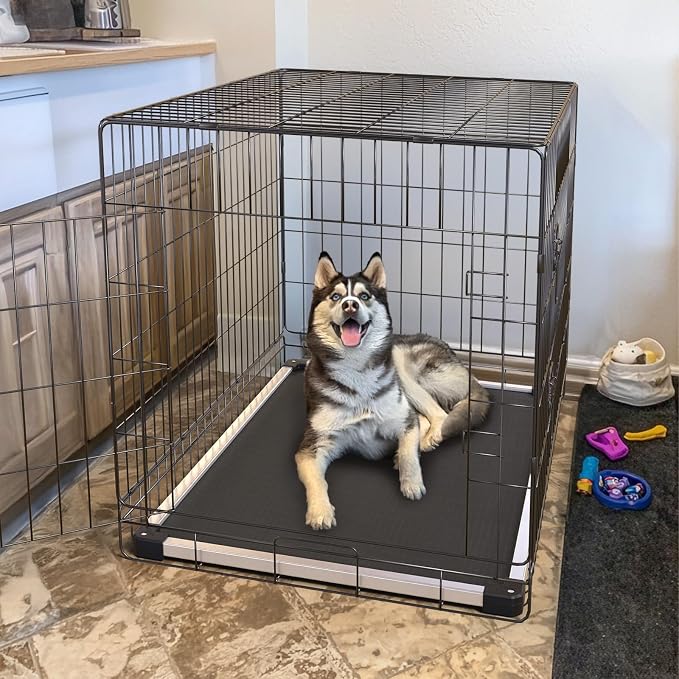 FXW TitanNest Chew-Proof Elevated Dog Bed, Raised Cot - Image 3