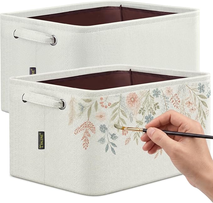 BALEINE 2 Pack Fabric Closet Storage Bins by BALEINE