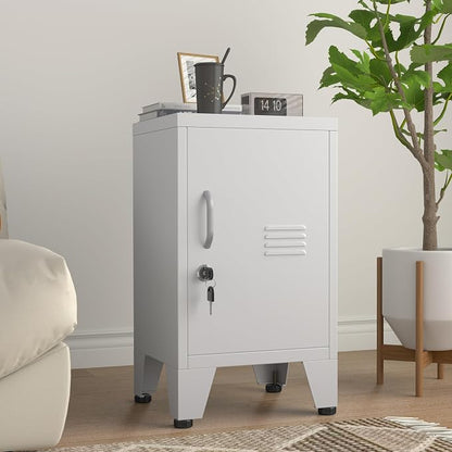 PAOFIN 24.4" H Metal Locker Storage Cabinet by PAOFIN