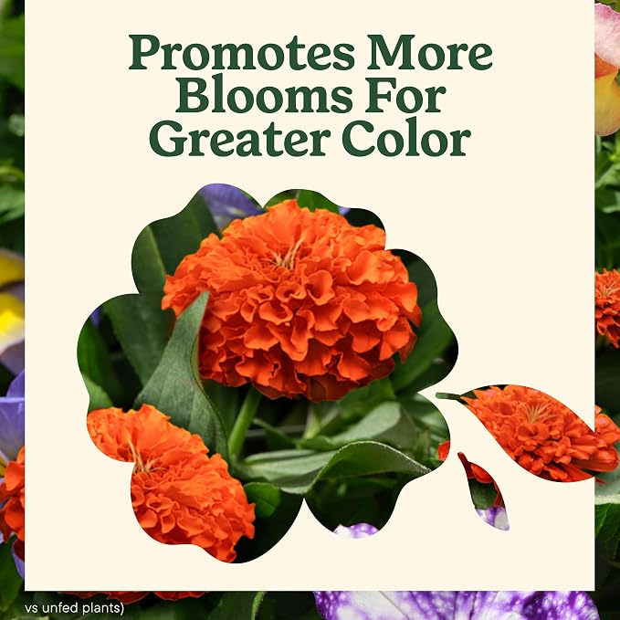Miracle-Gro LiquaFeed All Purpose Plant Food Advance Starter Kit and Bloom - Image 6