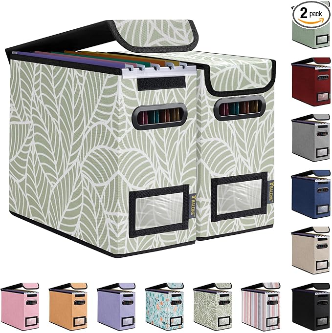 BALEINE File Organizer Box by BALEINE