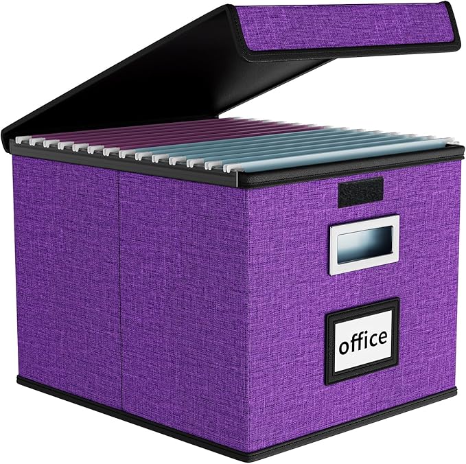 File Organizer Box with Lids, Collapsible File Folder Organizer | File Box with by Huolewa