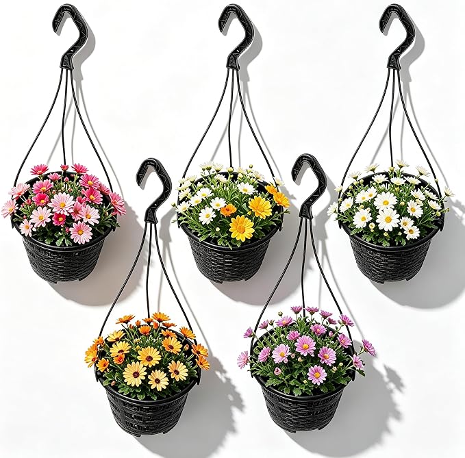 Toyvian Hanging Orchid Pots by Toyvian