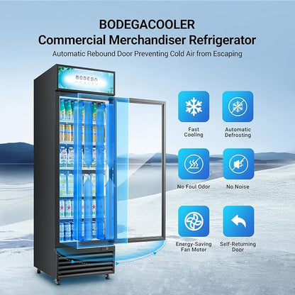 BODEGACOOLER Commercial Merchandiser Refrigerator, 15.5Cu. Ft Glass Door - Image 7