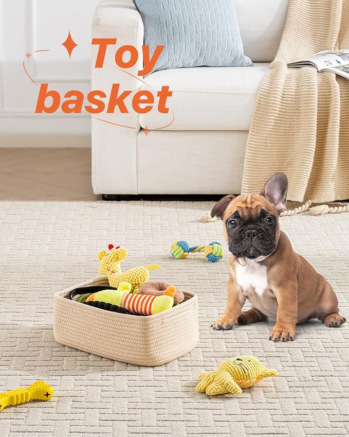 Small Woven Basket, Storage Basket - Image 5