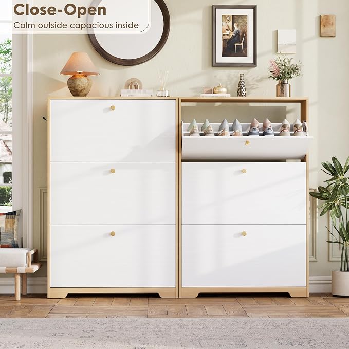 Nicetree Shoe Storage Cabinet for Entryway, Modern Shoe Cabinet, Freestanding - Image 3