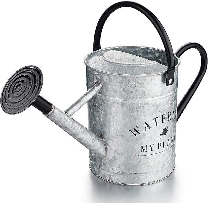 Garutom Galvanized Watering Can by Garutom