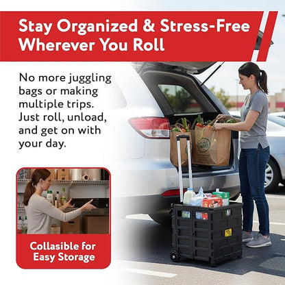 dbest products Quik Cart Pro Wheeled Rolling Crate Teacher Utility - Image 6