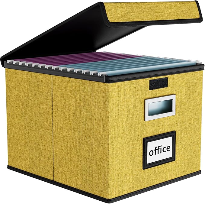 File Organizer Box with Lids, Collapsible File Folder Organizer | File Box with by Huolewa