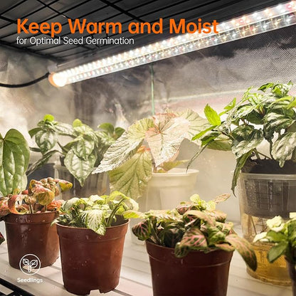 Bstrip Indoor Greenhouse with Grow Light, Plant Stand with 4 Pack 24W Full - Image 3