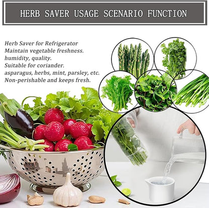 Herb Saver, Herb Keeper for Refrigerator, Cilantro Container for Fridge - Image 3