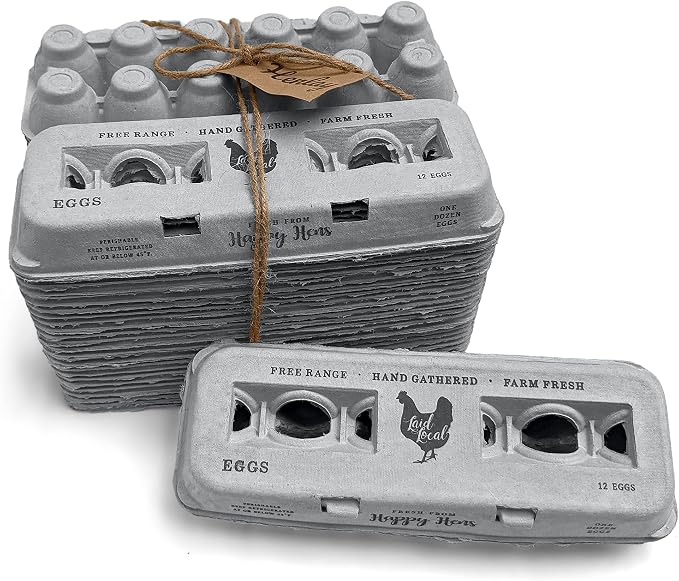 25 Egg Cartons- Adorable Printed Vintage Design - Image 2