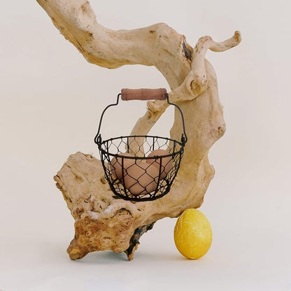TAIANLE.Small Wire Egg Collecting Basket - Image 8