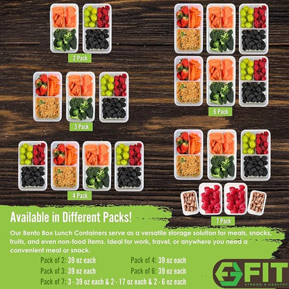 FIT Strong & Healthy Bento Box for Kids and Adults - Image 2