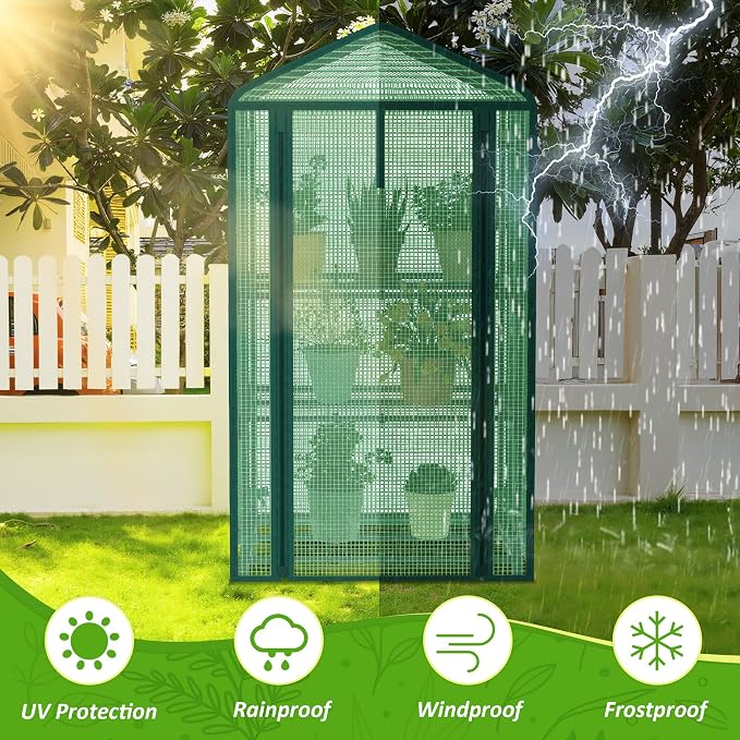 AlisisFores 3-Tier Greenhouse for Indoor and Outdoor Use, 4ft Tall Portable - Image 4