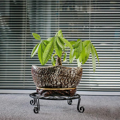 NSYOOMH 2 pack 10" Rustproof Black Metal Plant Stands Heavy Duty Plants Holder - Image 6