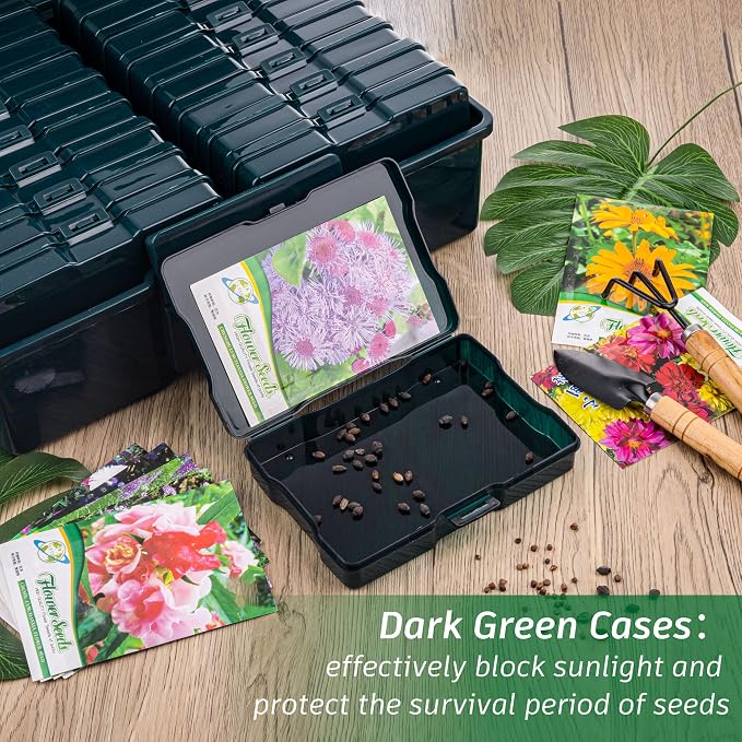 Dark Green Seed Storage Box - Image 5