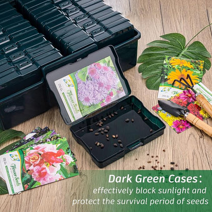 Dark Green Seed Storage Box - Image 5