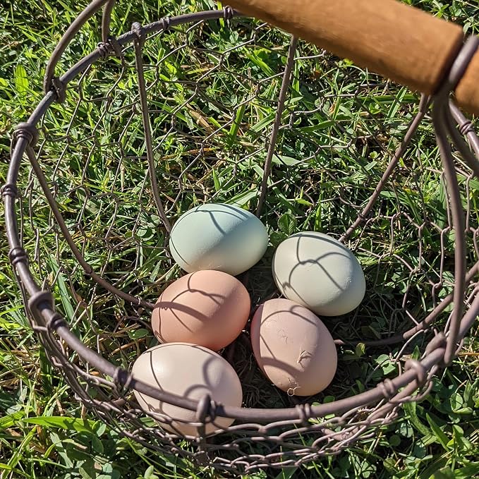 CVHOMEDECO. Round Chicken Wire Egg Basket Fruit Basket - Image 6