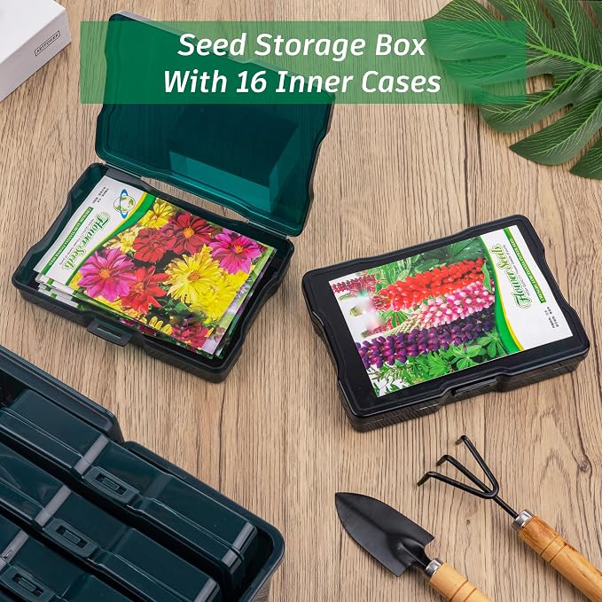 Dark Green Seed Storage Box - Image 4