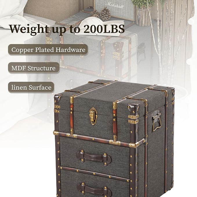 Aoikax Vintage Storage Chest - Image 4