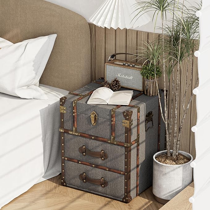 Aoikax Vintage Storage Chest - Image 6
