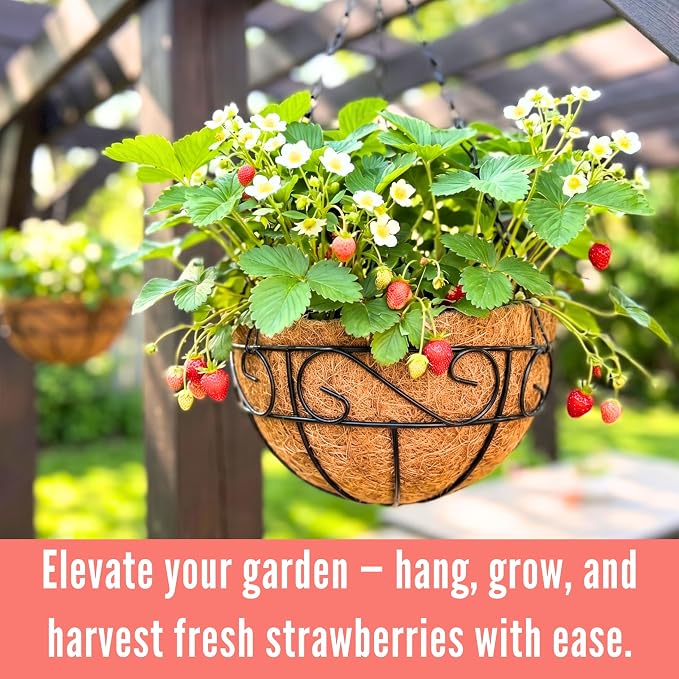 LaLaGreen Hanging Planter for Outdoor Plants Hanging Baskets - Image 5