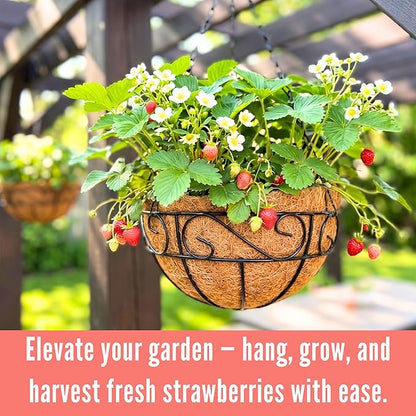 LaLaGreen Hanging Planter for Outdoor Plants Hanging Baskets - Image 5
