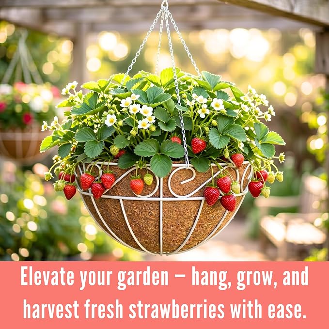 LaLaGreen Hanging Planter for Outdoor Plants White Hanging Baskets - Image 4