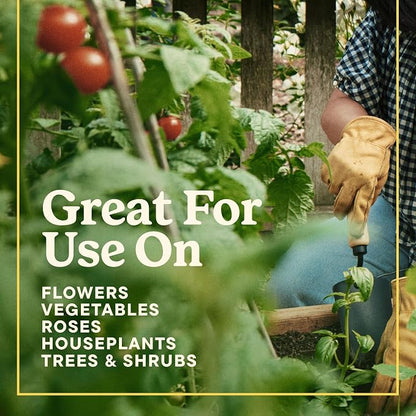 Miracle-Gro LiquaFeed All Purpose Plant Food Advance Starter Kit | - Image 9