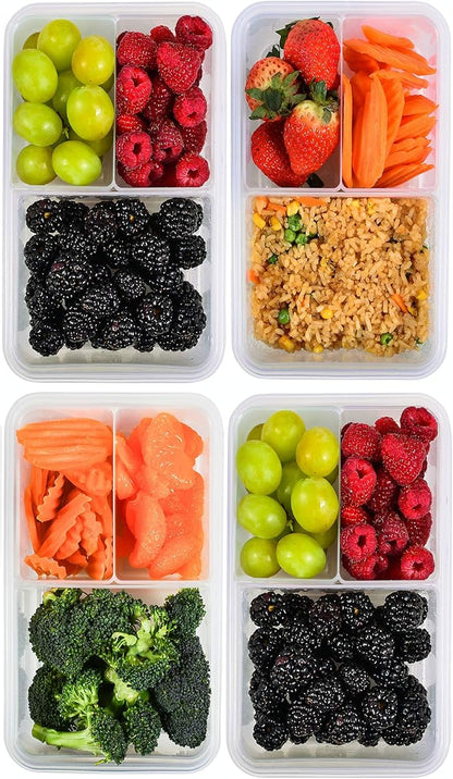 FIT Strong & Healthy Bento Lunch Box & Meal Prep Containers, Food & Snack by FITSTRONGHEALTHY