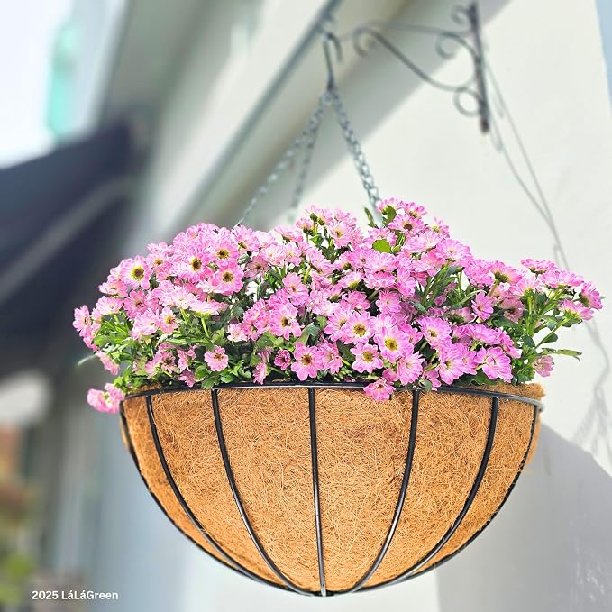 LaLaGreen Hanging Baskets for Plant Outdoor Extra Large Black Metal Wire - Image 8