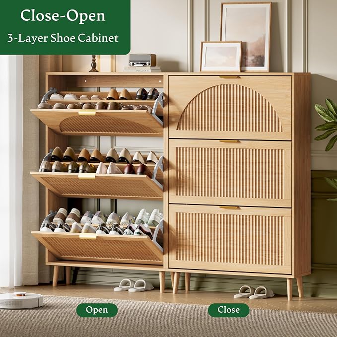 Xixini Shoe Storage Cabinet - Image 5