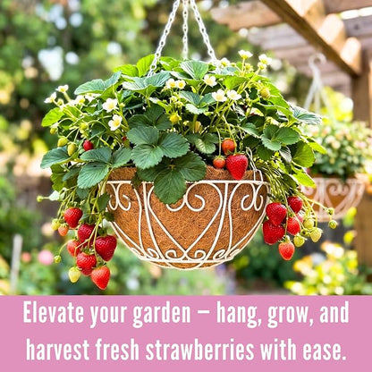LaLaGreen Hanging Baskets for Plants Small Hanging Flower Pots - Image 3