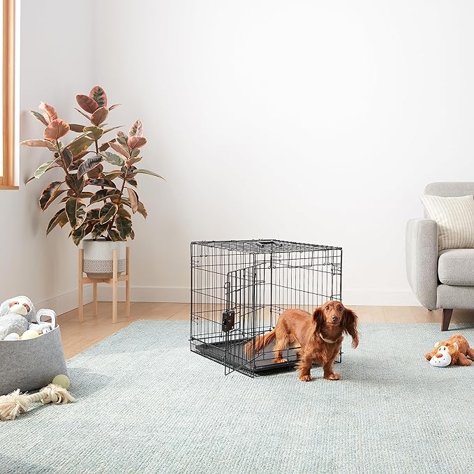 Amazon Basics Durable, Foldable Metal Wire Small Dog Crate - Image 5