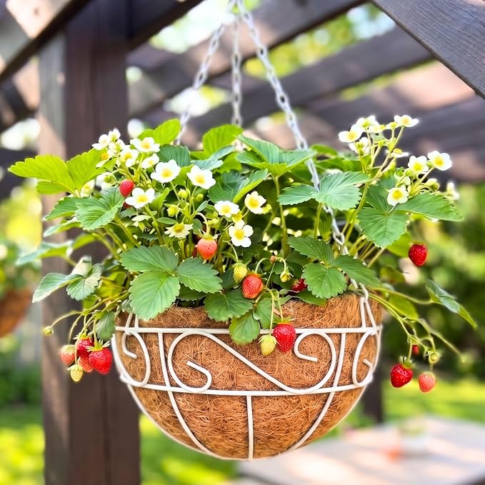 LaLaGreen Hanging Planter for Outdoor Plants White Hanging Baskets by L%C3%A1L%C3%A1Green