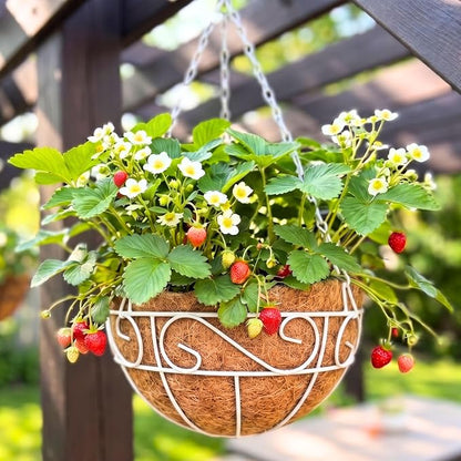 LaLaGreen Hanging Planter for Outdoor Plants White Hanging Baskets by L%C3%A1L%C3%A1Green