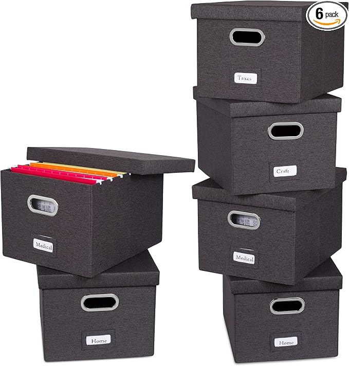 Internet's Best Collapsible File Storage Organizer by BIRDROCKHOME
