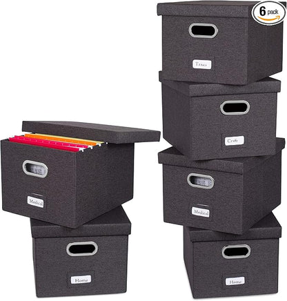 Internet's Best Collapsible File Storage Organizer by BIRDROCKHOME